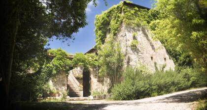 Magnifique chalet 1 chambre avec jardin et vue sur les oliviers, la piscine