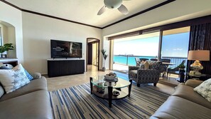 TV connectée, cheminée, lecteur de DVD, chaîne hi-fi