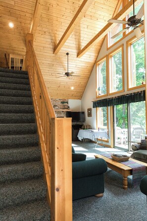 Smart TV, chimenea y reproductor de DVD 