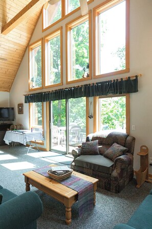 Smart TV, chimenea y reproductor de DVD 