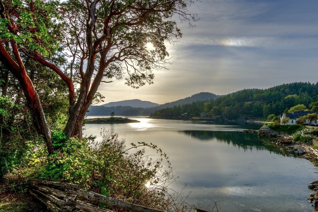 The Homestead on the Shore -- New Hot Tub!