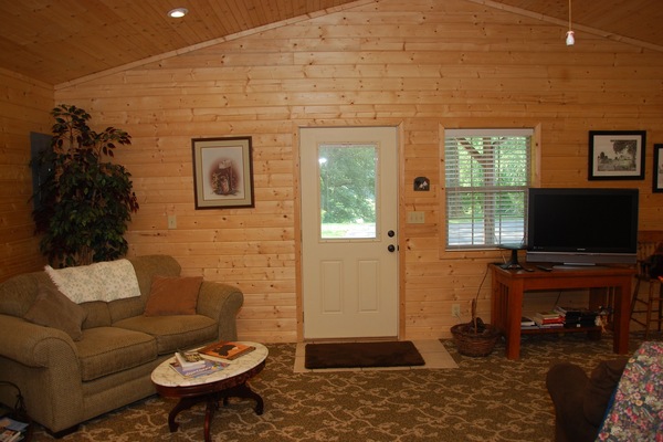 Smart TV, DVD player, books, video library