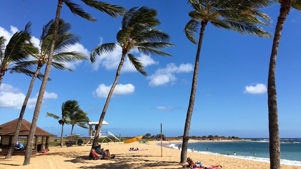 Ein Strand mit Palmen, einem Rettungsturm und einem sandigen Ufer.