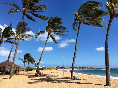 2BD/2BA Poipu Beach House with AC
Walk to Brennecke's and Poipu Beach Park