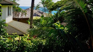 Ein tropisches Resort mit Blick auf den Ozean, Palmen und ein Gebäude mit einem Ziegeldach.