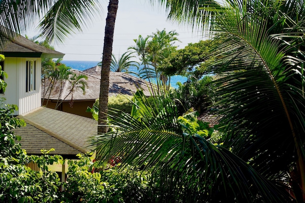 Proximity to ocean