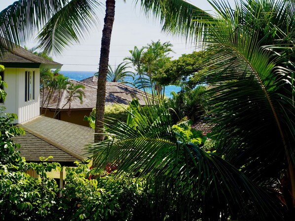 A tropical resort with a view of the ocean, palm trees, and a building with a tiled roof.