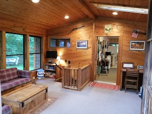 TV connectée, cheminée, lecteur de DVD, livres