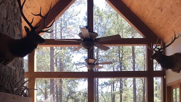 L’intérieur chaleureux d’un chalet avec une cheminée en pierre, une grande fenêtre donnant sur la forêt et un ventilateur de plafond.