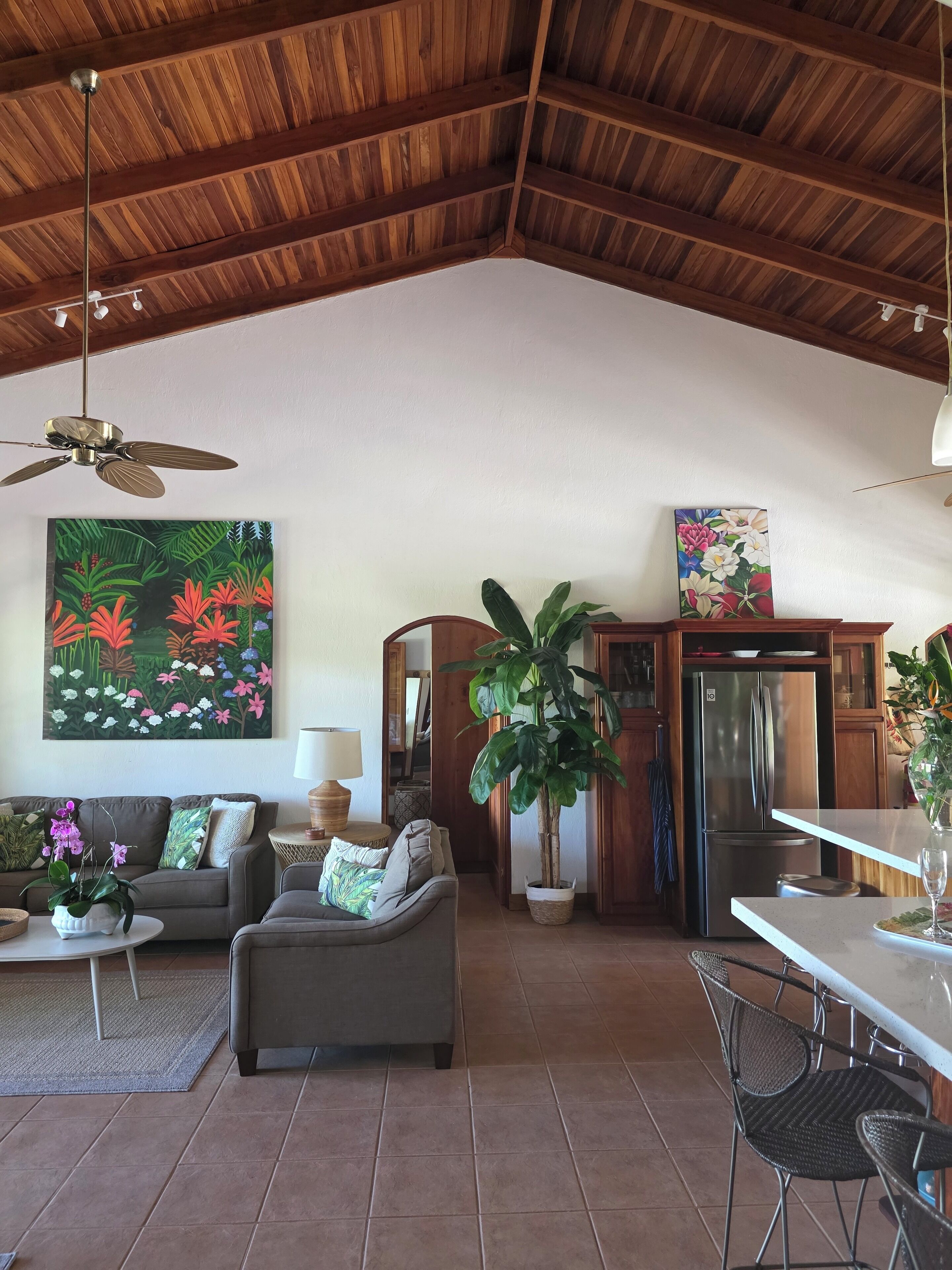 Älytelevisio, kirjoja, musiikkikirjasto, videokirjasto