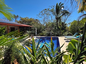 Ein Schwimmbad, umgeben von tropischer Vegetation und einem Gebäude mit rotem Dach.