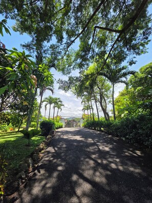 Property grounds - THE GEM OF ATENAS: EXQUISITE HOME on 18 acres of TROPICAL PARADISE (Atenas)