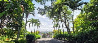 LE GEMME D'ATENAS: RETRAITE DU PARADIS TROPICAL