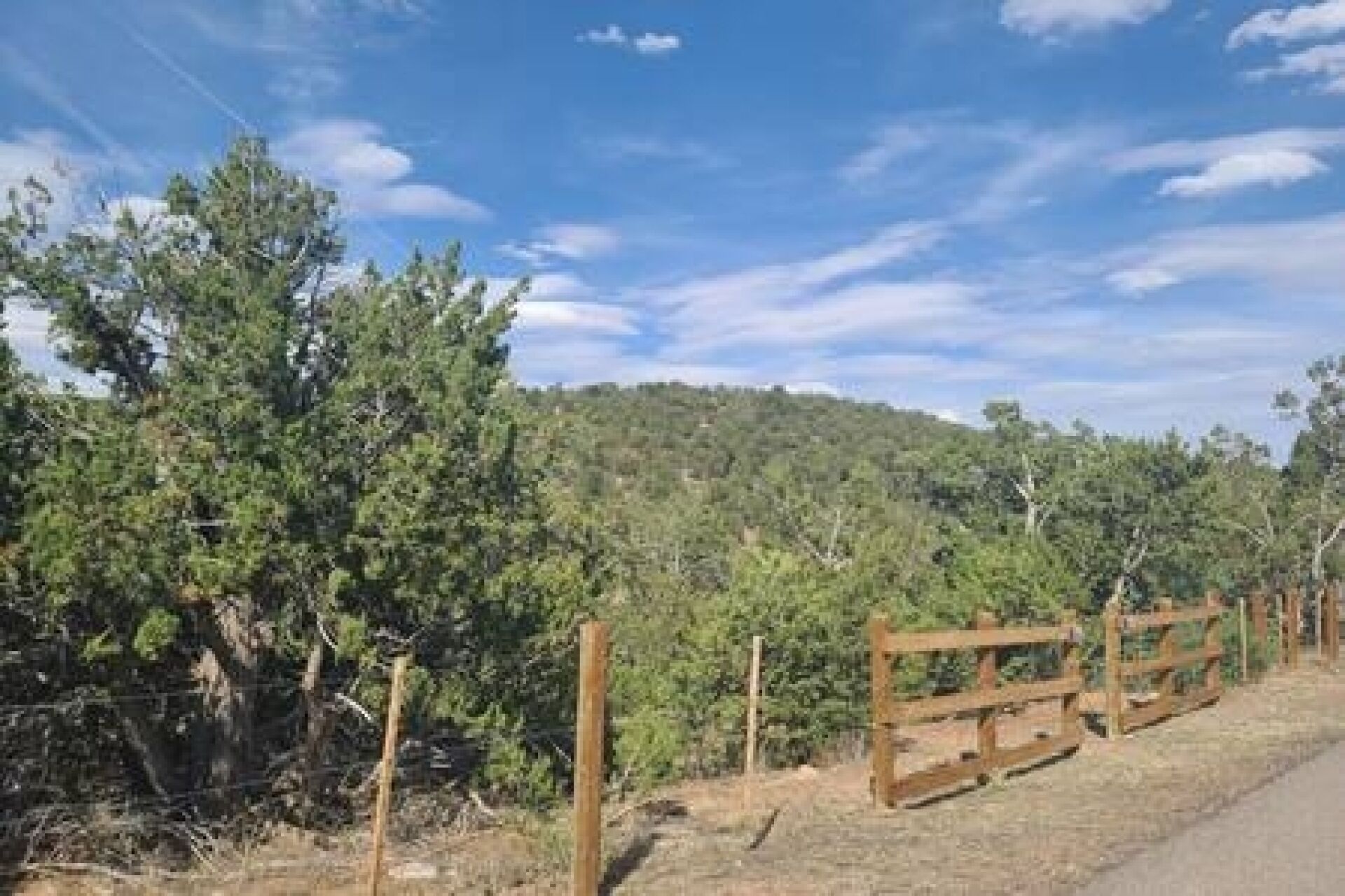 A rural landscape with a dirt road, wooden fence, and dense forest.