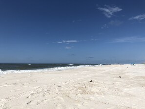 Nära stranden