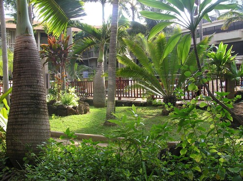 Gorgeous Ocean View and Just Steps to the Beach!