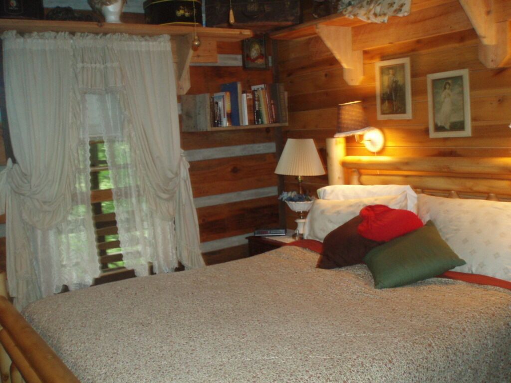 Cabin Overlooking the Whitewater Toccoa River