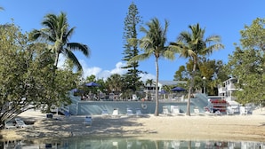A beachside hotel with a pool, palm trees, and beach chairs. - Waterfront, saltwater lagoon, 2 pools, ocean access, marina, tennis, pickleball (Key Largo)