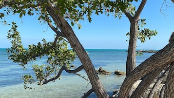 Beach nearby, sun loungers, beach towels