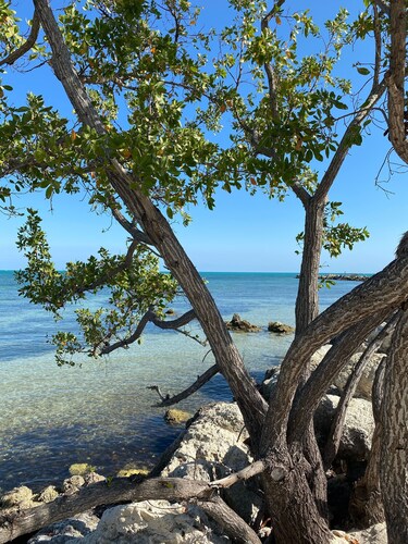 Waterfront, saltwater lagoon, 2 pools, ocean access, marina, tennis, pickleball