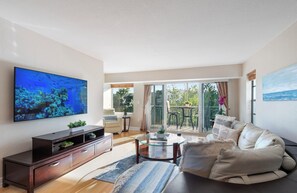 Smart TV, DVD player, books