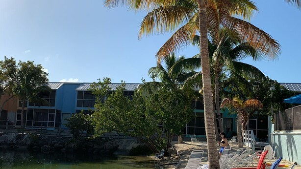 A beach with lounge chairs, a palm tree, and a building in the background. - Waterfront, saltwater lagoon, 2 pools, ocean access, marina, tennis, pickleball (Key Largo)