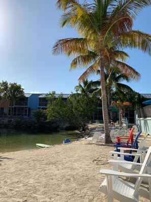 A beach with lounge chairs, a palm tree, and a building in the background. - Waterfront, saltwater lagoon, 2 pools, ocean access, marina, tennis, pickleball (Key Largo)