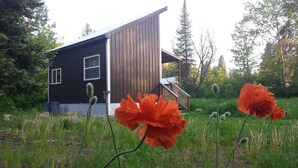 Una casa moderna con techo inclinado y fachada de madera, rodeada por un campo cubierto de césped y árboles.