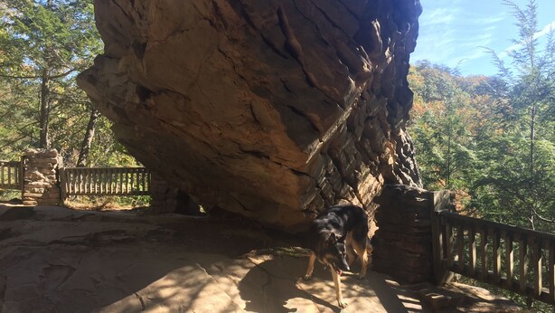 A large rock formation with a wooden fence and a dog near the base. - Multi-Family Getaway at Raystown Lake in Central PA (Entriken)