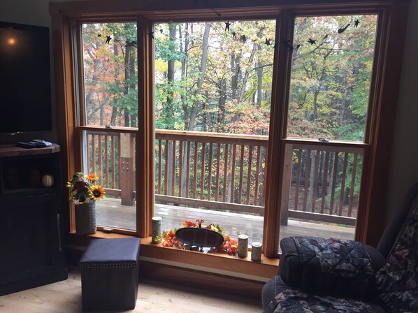 A room with a large window overlooking a deck and a forest. There is a TV on a shelf, a small table with a vase of flowers, and a chair. - Multi-Family Getaway at Raystown Lake in Central PA (Entriken)