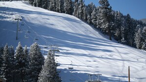 Une pente de montagne enneigée, avec des remontées mécaniques et des arbres couverts de neige.