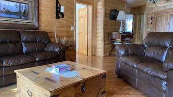 Smart TV, fireplace, DVD player, books