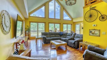 Smart TV, fireplace, video games, DVD player