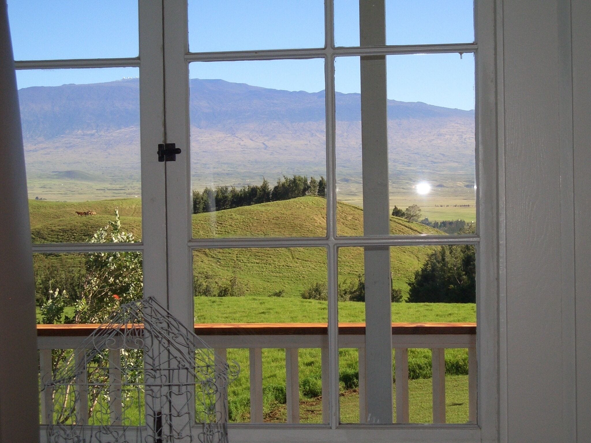 View from sun room