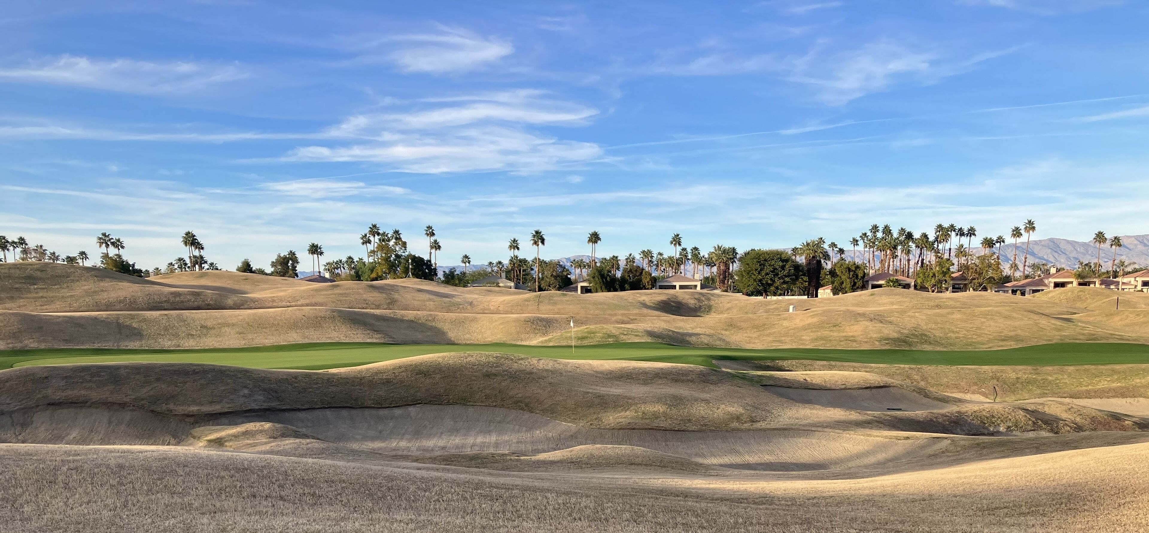 A golf course with undulating terrain and palm trees.