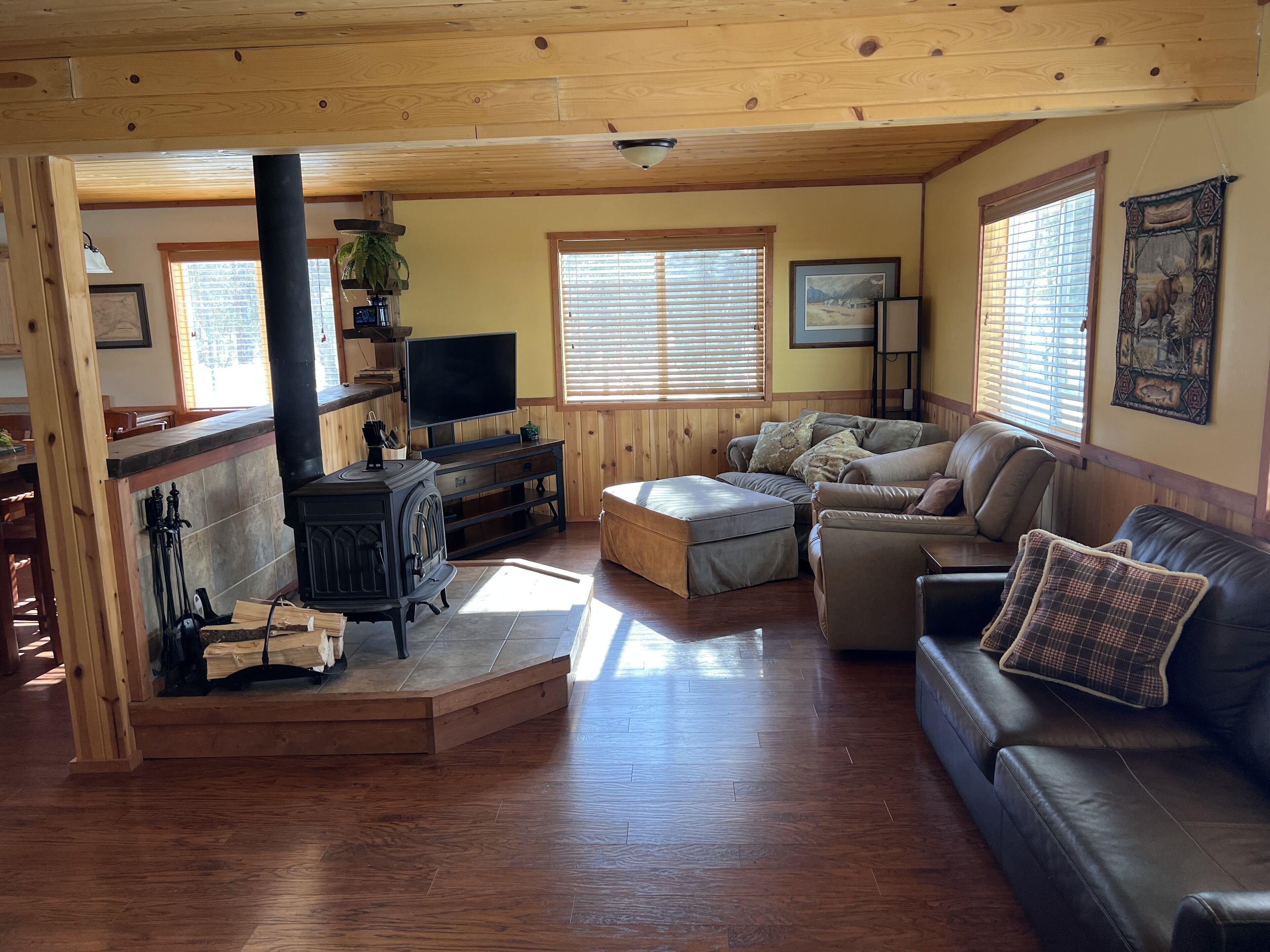 Smart TV, fireplace, DVD player, books