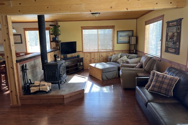 Smart TV, fireplace, DVD player, books