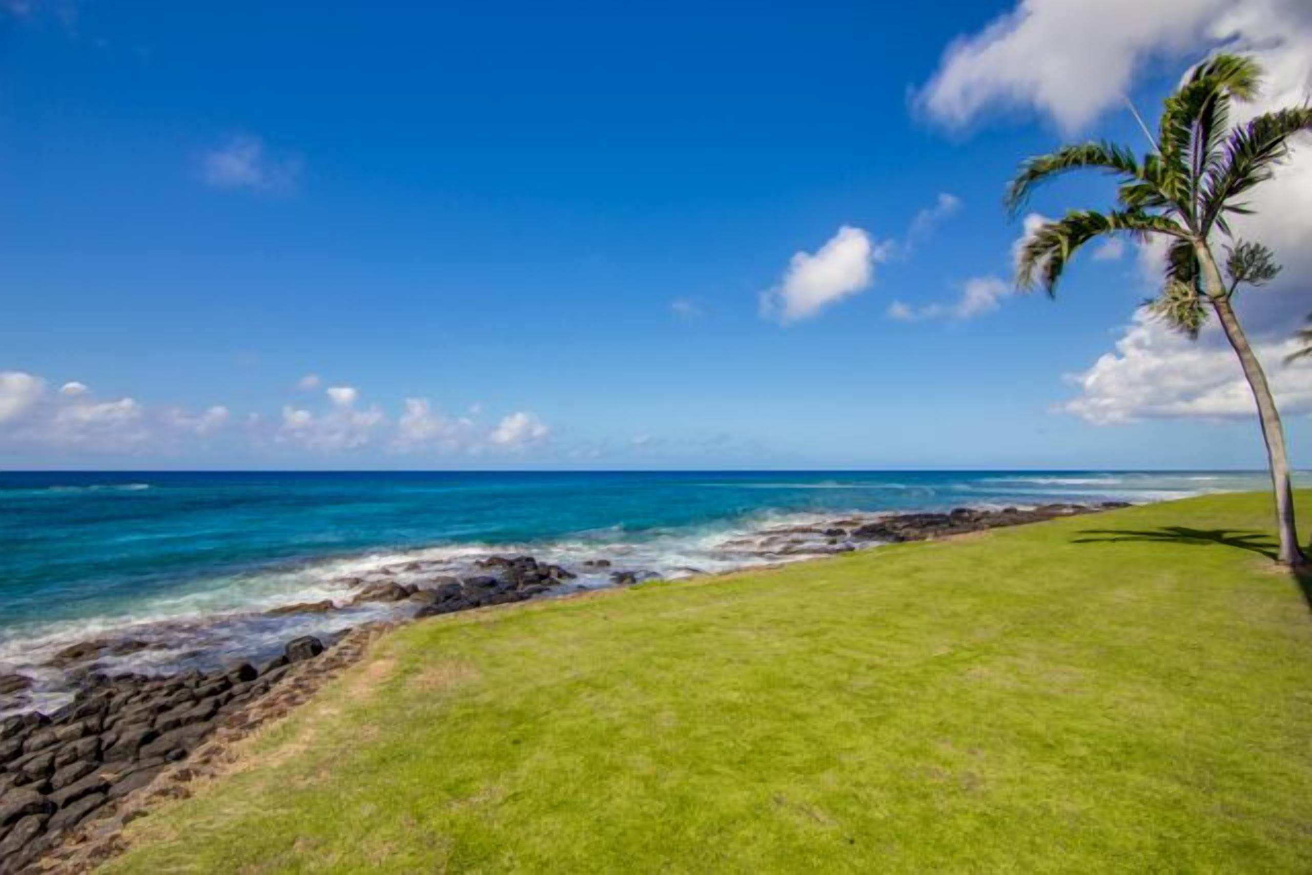 A coastal landscape with a clear sky, a grassy area, and a palm tree.
