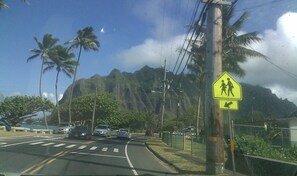 A road with cars, a pedestrian crossing sign, palm trees, and a mountain in the background. - Cottage-Very Close to Beach-Quiet A/C-Full Kitchen with Range/Oven-Deck-Laundry (Hauula)