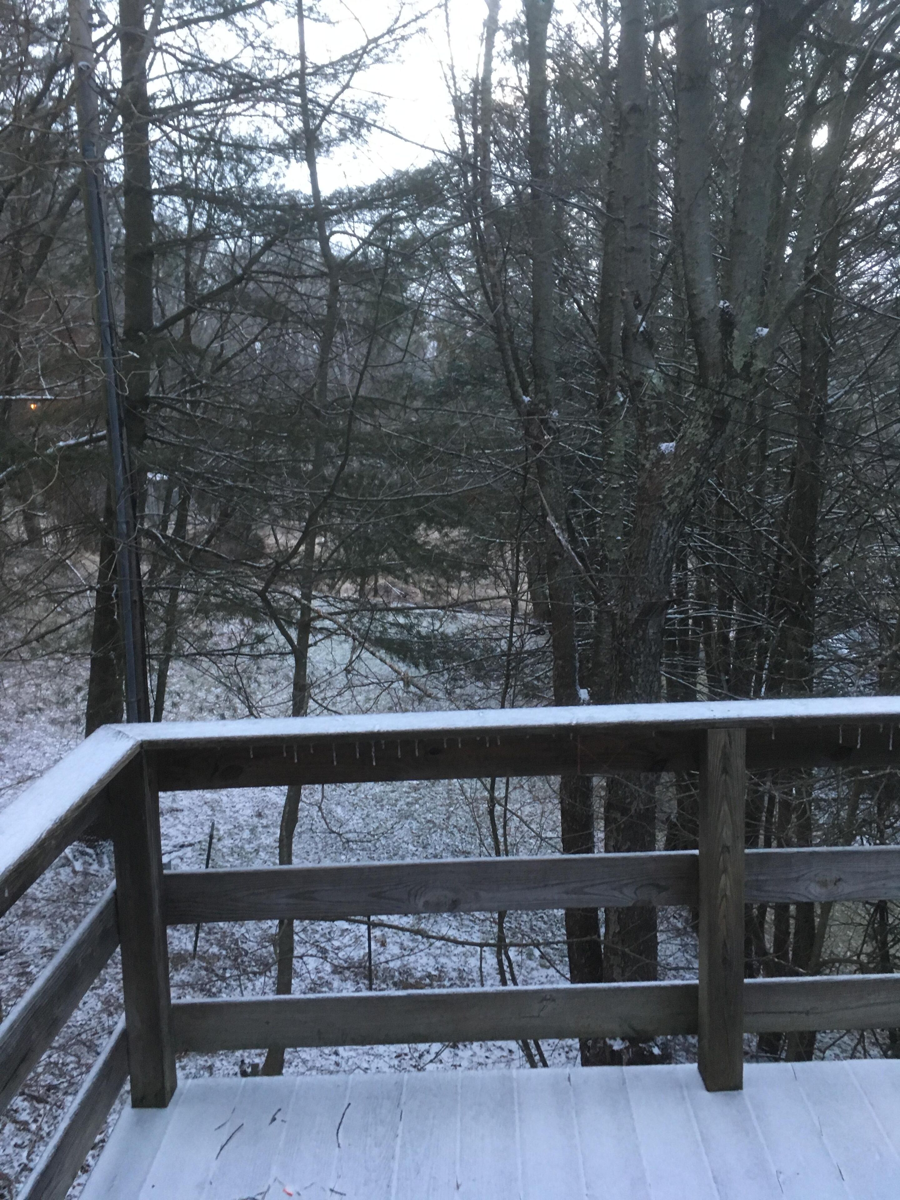 Une terrasse en bois avec une rambarde en métal, entourée d’arbres et d’un sol recouvert de neige.