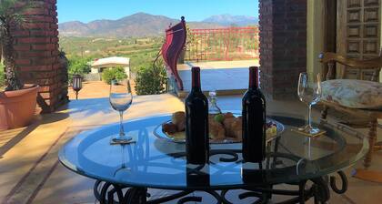 Villas Del Vino La Ruta Del Vino En El Corazón Del Valle Del Valle De Guadalupe