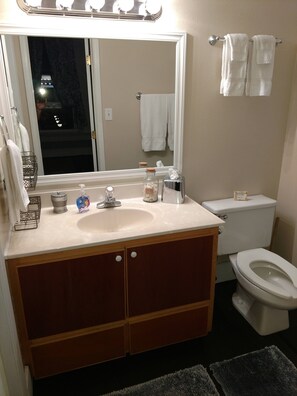 Hair dryer, towels, toilet paper