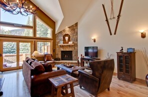 Télévision, cheminée, jeux vidéo, lecteur de DVD