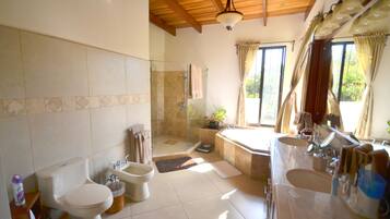Douche, baignoire à jets, sèche-cheveux, bidet