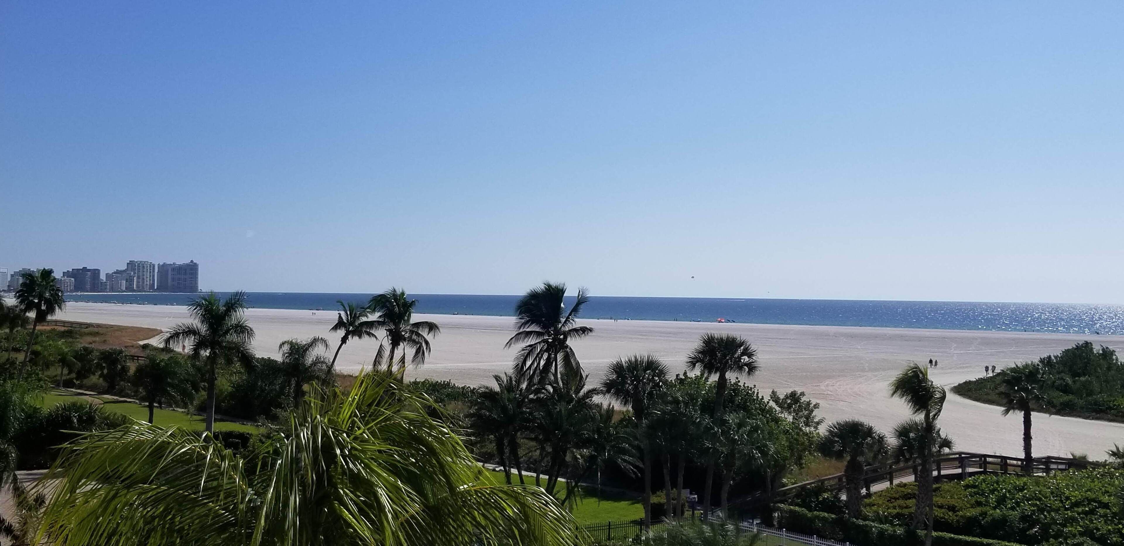 Une vue sur la plage, avec des palmiers et une silhouette de ville en arrière-plan.