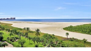 Eine Küstenlandschaft mit Strand, Palmen und einer entfernten Skyline.