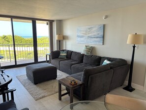 Smart TV, DVD player, books, video library