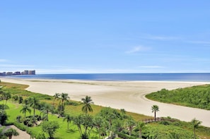 Eine Küstenlandschaft mit Strand, Palmen und einer entfernten Skyline.