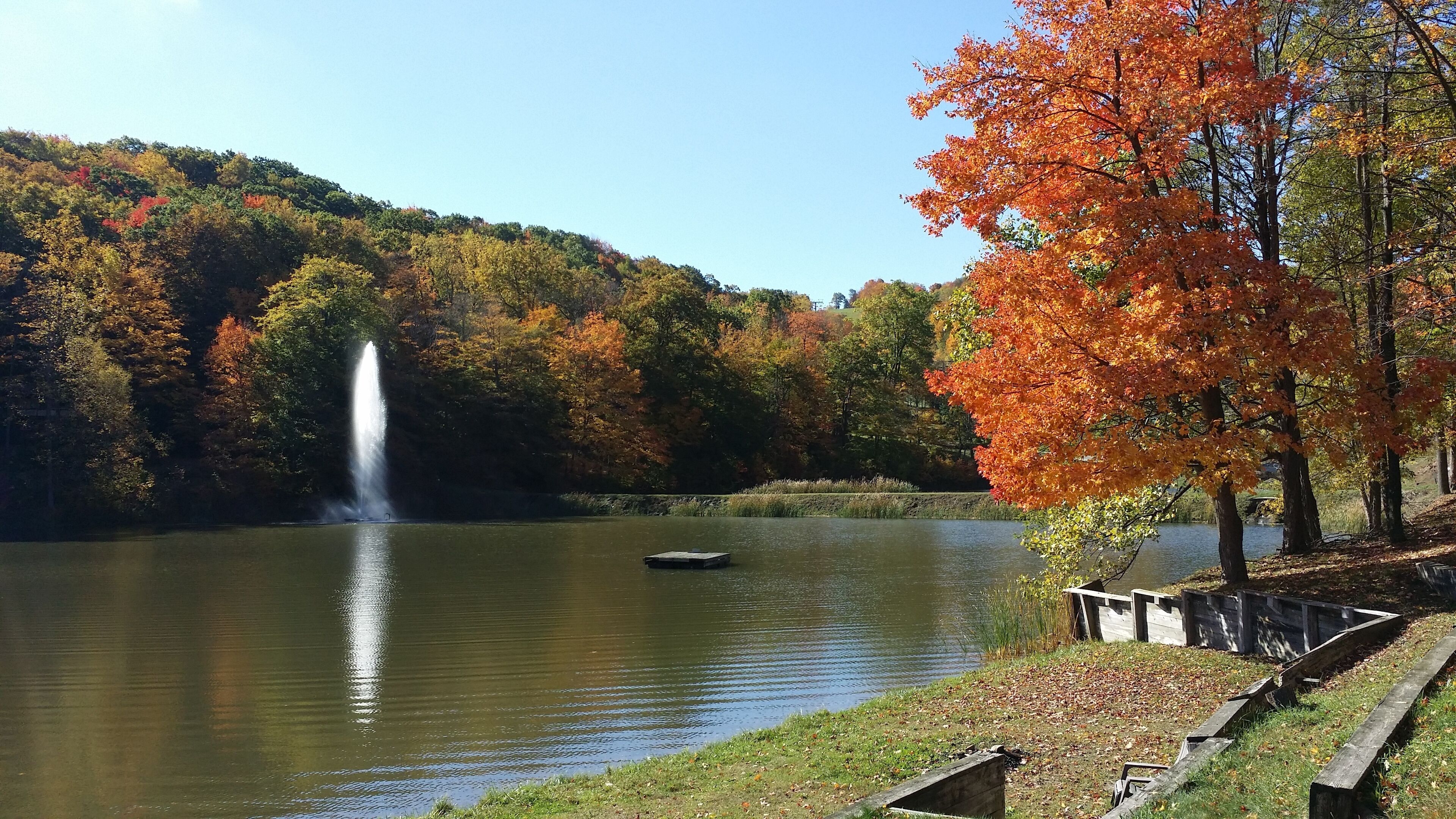 Enjoy the beauty of the Laurel Mountains.  Golf, hike, bike, fish and SKI!!