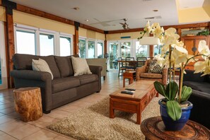 Smart TV, fireplace, books